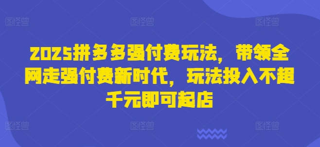 2025拼多多强付费玩法，带领全网走强付费新时代，玩法投入不超千元即可起店-小齐资源库