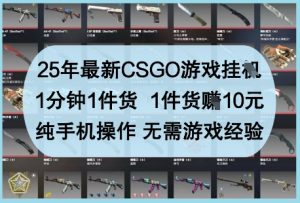 25年最新CSGO游戏挂G,1分钟1件货,1件货挣10元,纯手机操作,无需游戏经验【揭秘】-小齐资源库